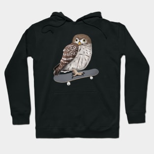 Little Owl Bird Skateboard Birdwatcher Animal Biologist Hoodie